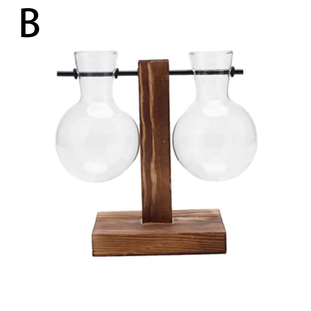 Transparent Glass Avocado Seed Starter Vase, Plant Growing Kit for Gardening Enthusiasts
