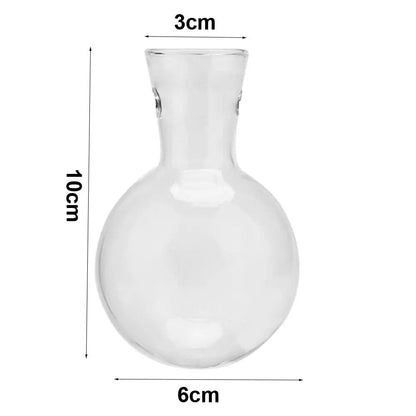 Transparent Glass Avocado Seed Starter Vase, Plant Growing Kit for Gardening Enthusiasts