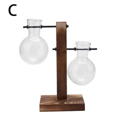 Transparent Glass Avocado Seed Starter Vase, Plant Growing Kit for Gardening Enthusiasts