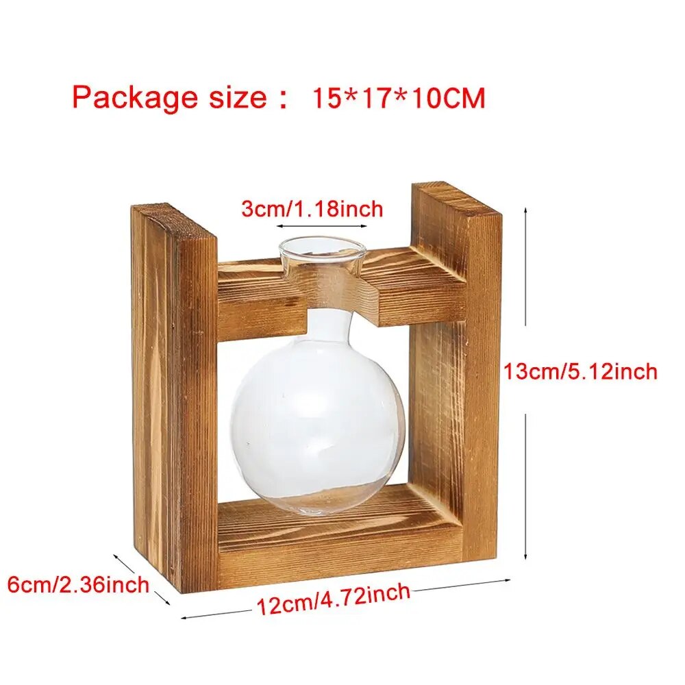Transparent Glass Avocado Seed Starter Vase, Plant Growing Kit for Gardening Enthusiasts