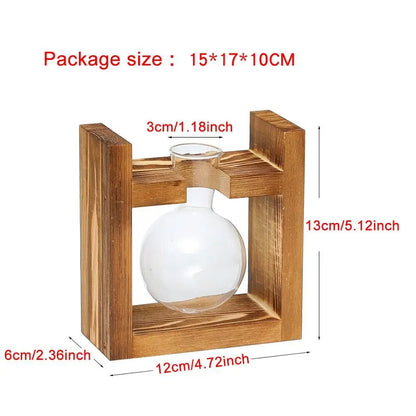 Transparent Glass Avocado Seed Starter Vase, Plant Growing Kit for Gardening Enthusiasts