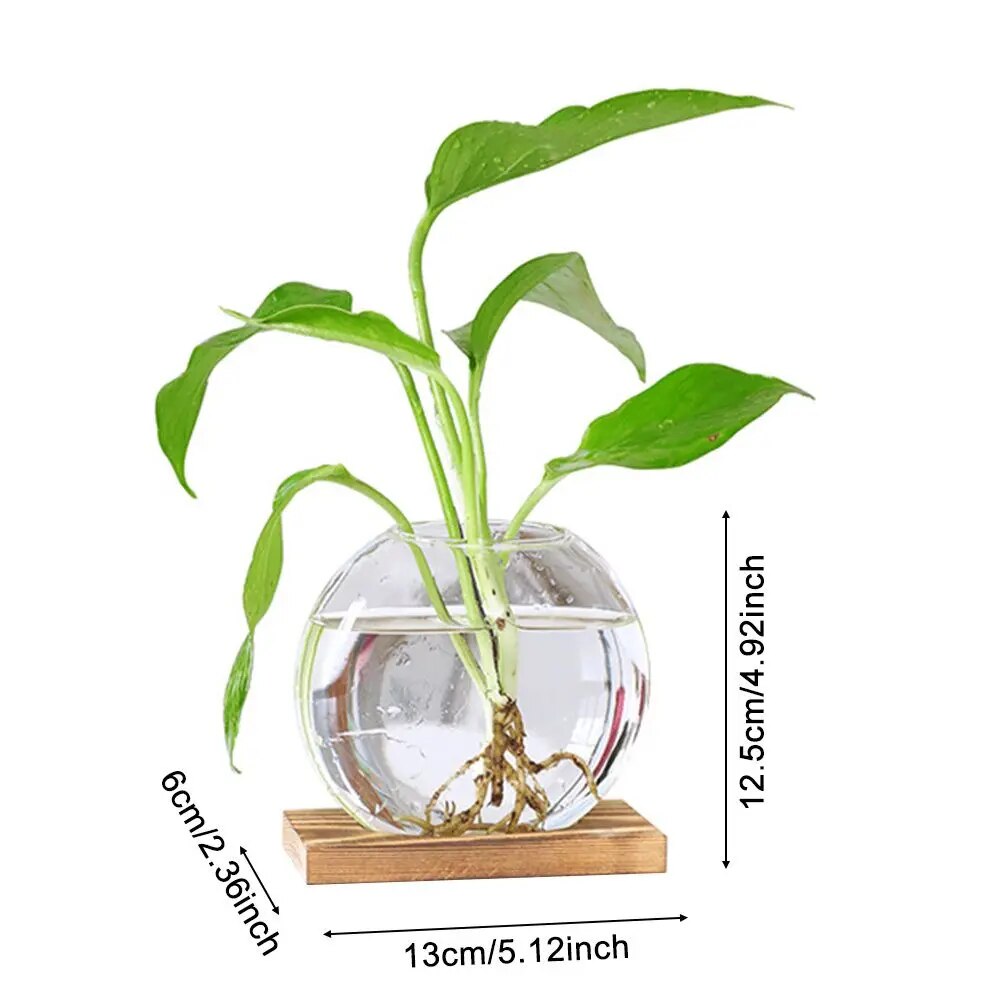 Transparent Glass Avocado Seed Starter Vase, Plant Growing Kit for Gardening Enthusiasts
