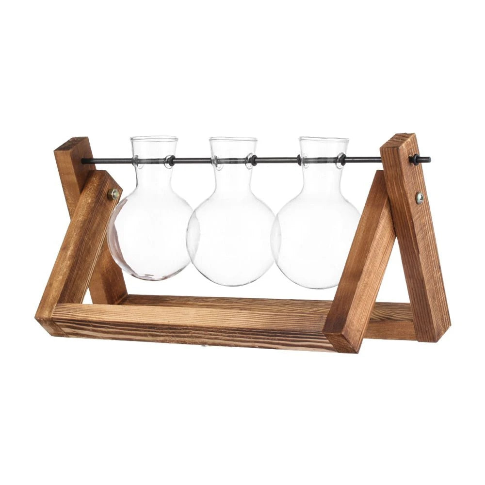 Transparent Glass Avocado Seed Starter Vase, Plant Growing Kit for Gardening Enthusiasts