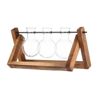Transparent Glass Avocado Seed Starter Vase, Plant Growing Kit for Gardening Enthusiasts