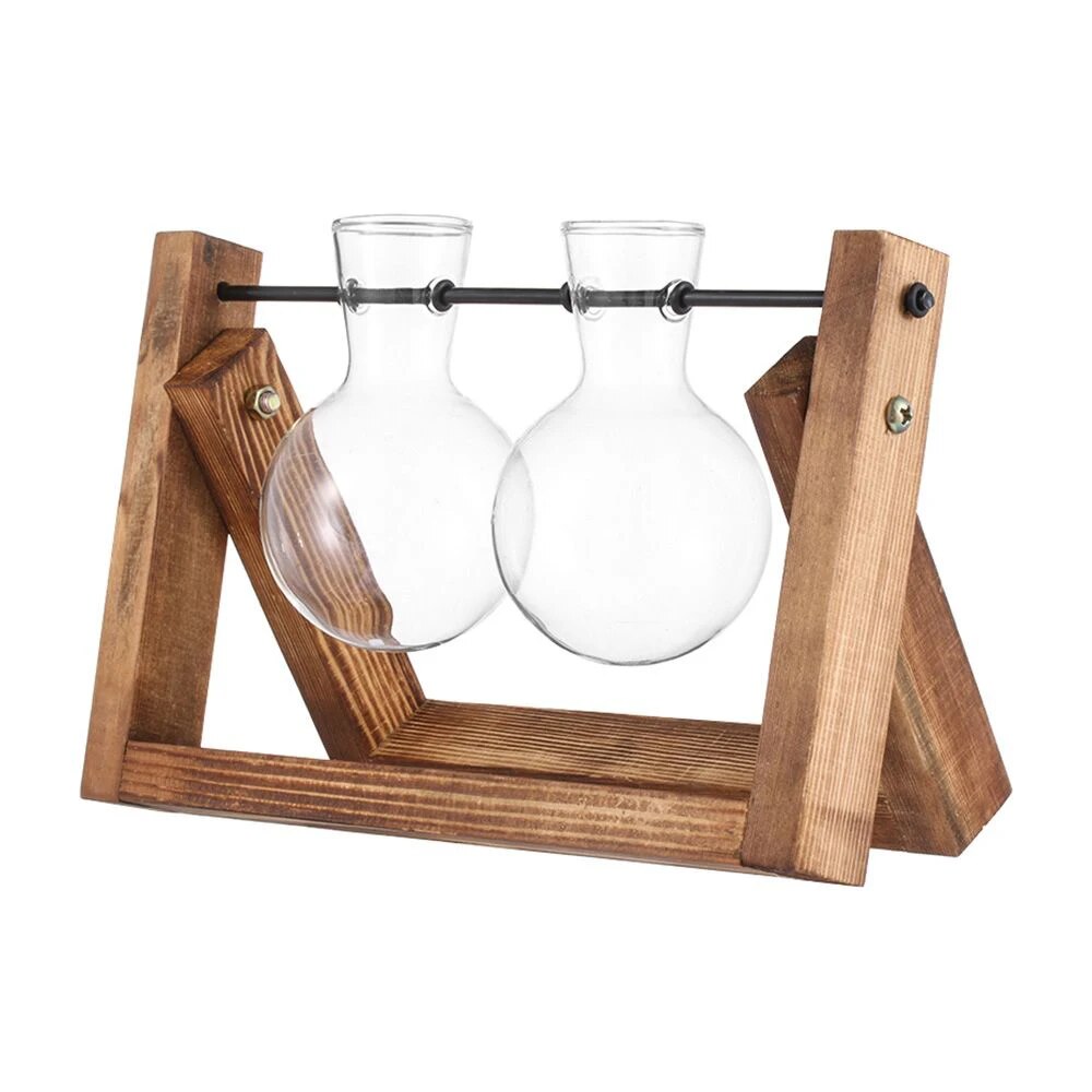Transparent Glass Avocado Seed Starter Vase, Plant Growing Kit for Gardening Enthusiasts