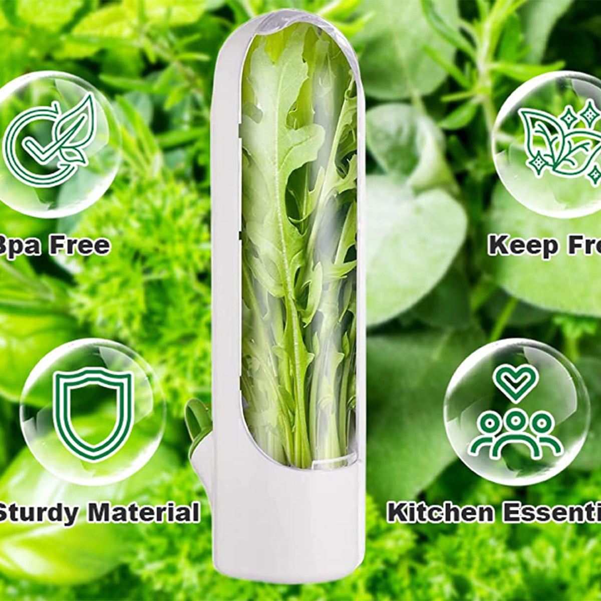 Fresh Herb Keeper Container for Refrigerator Kitchen Storage