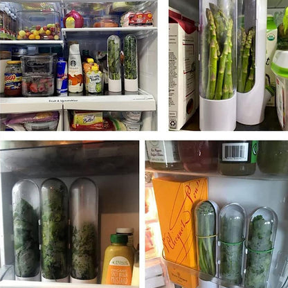 Fresh Herb Keeper Container for Refrigerator Kitchen Storage