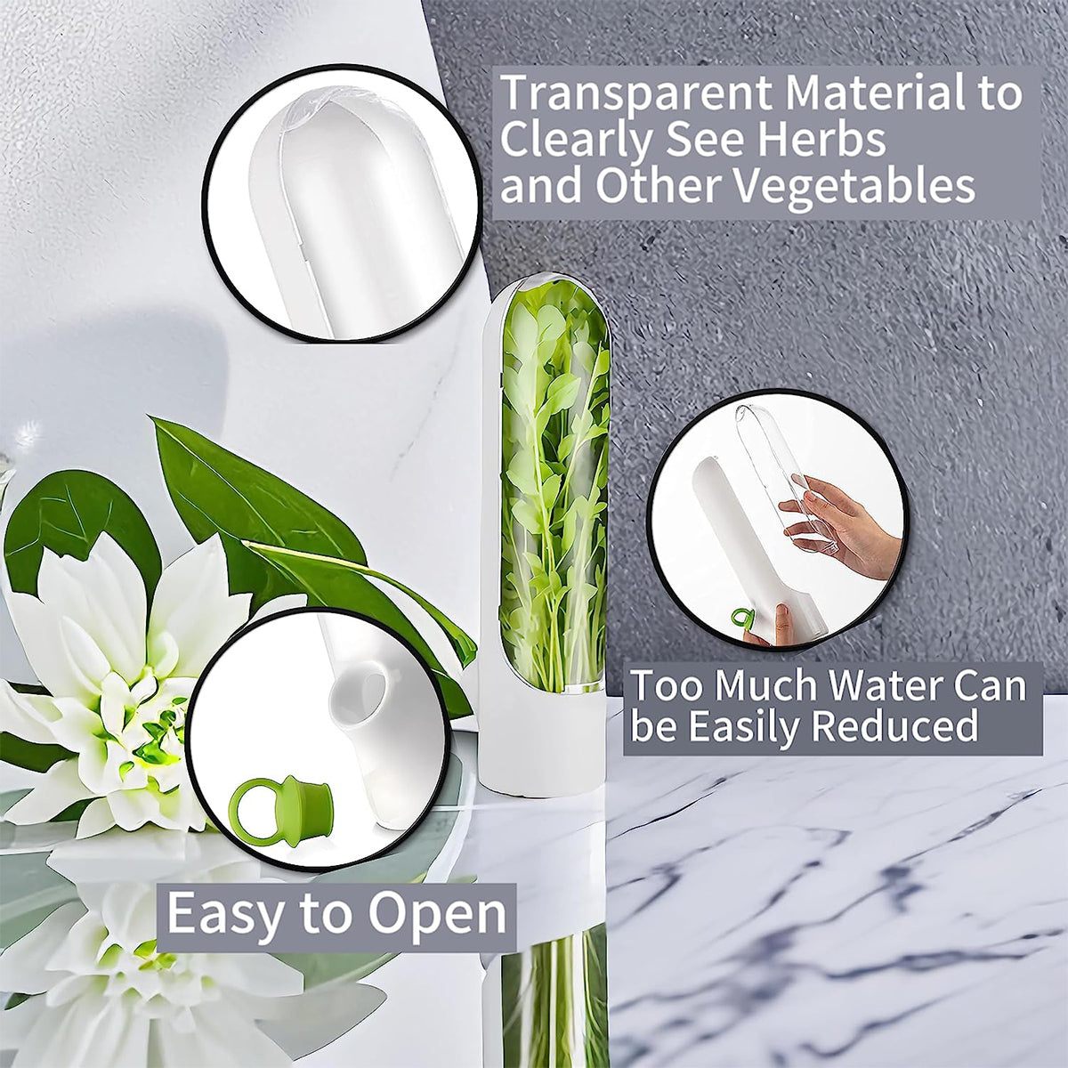 Fresh Herb Keeper Container for Refrigerator Kitchen Storage