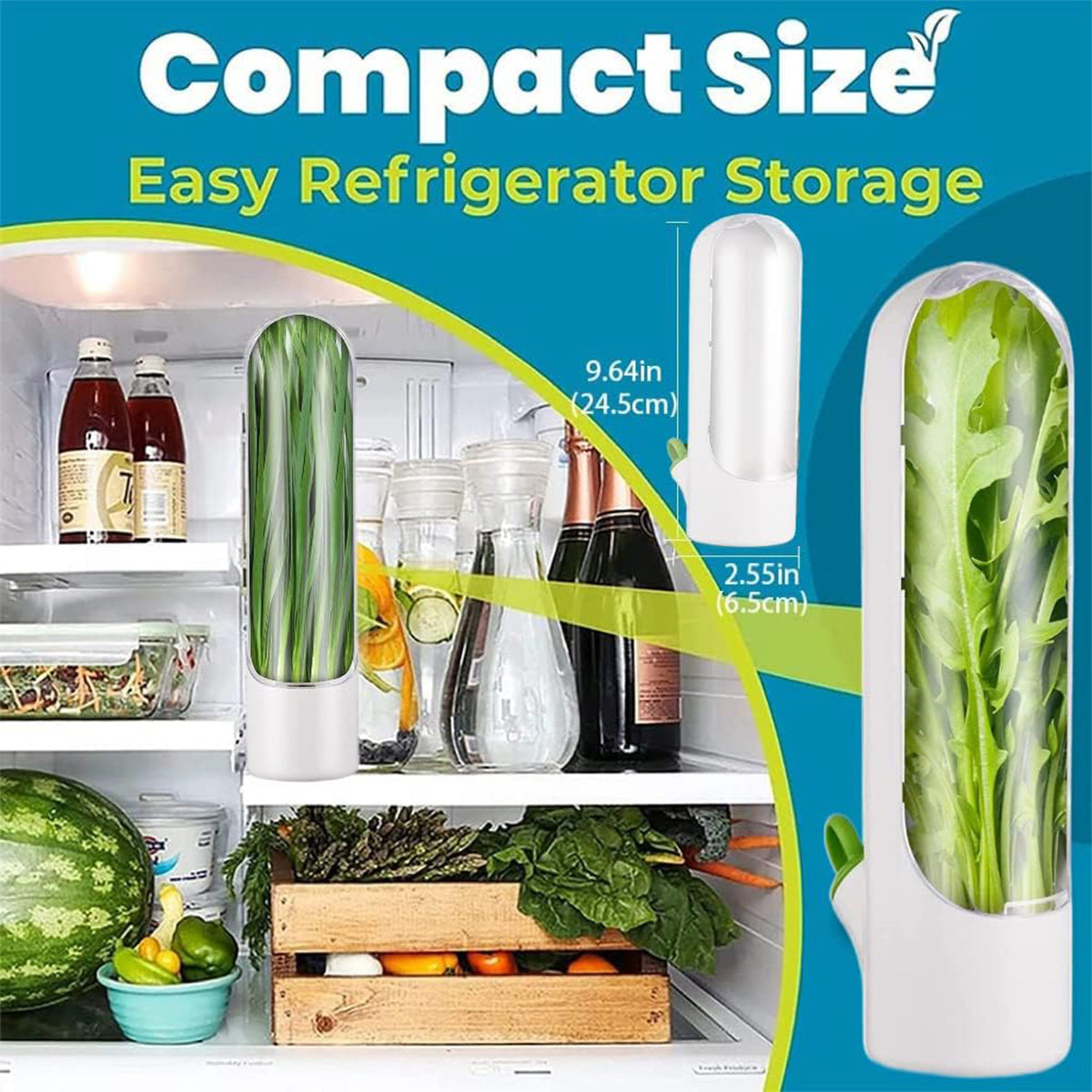Fresh Herb Keeper Container for Refrigerator Kitchen Storage