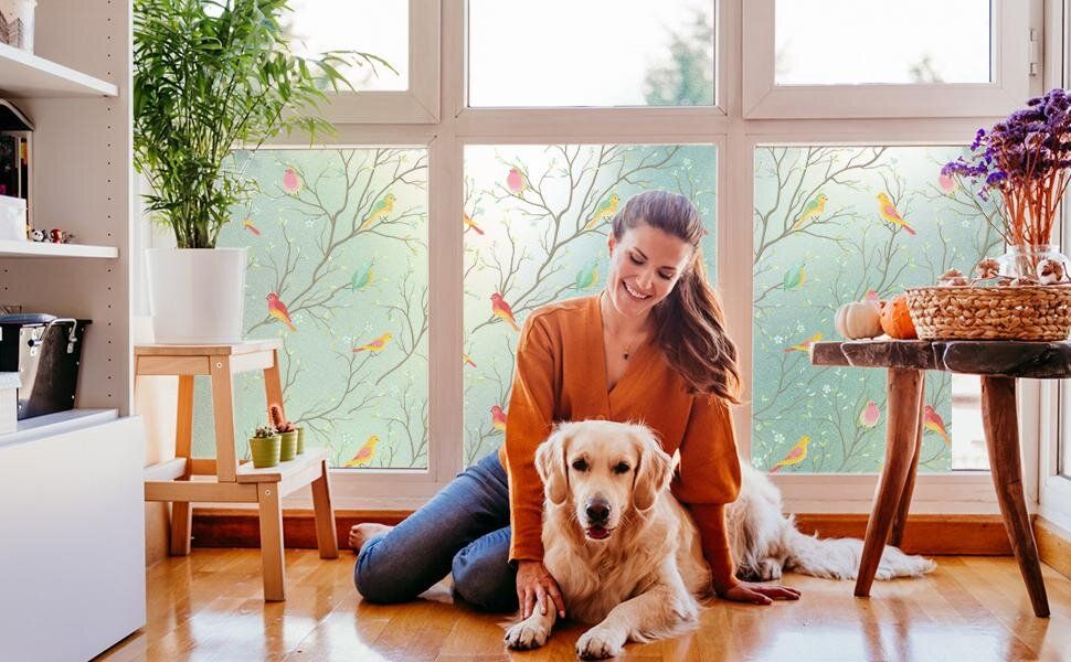 Opaque Privacy Window Film with Static Cling, Decorative Bird Decals & Frosted Glass Stickers for Home