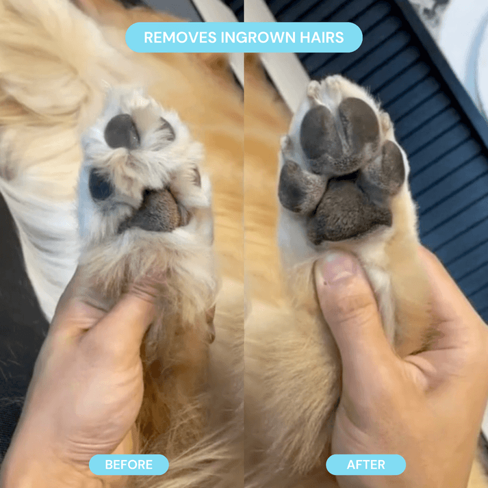 Pet Groomer with LED Light, Cordless Nail Grinder Shaver for Safe Paw Trimming & Grooming, Gift for Pet Lovers