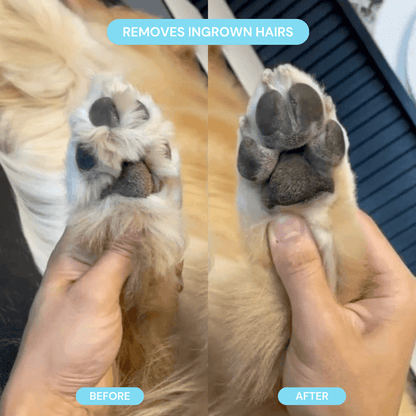 Pet Groomer with LED Light, Cordless Nail Grinder Shaver for Safe Paw Trimming & Grooming, Gift for Pet Lovers