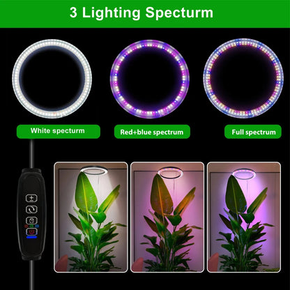 Indoor Plants Full Spectrum, Height Adjustable LED Ring Grow Lights, Large Plant Light for Indoor Plants, Growing Lamp