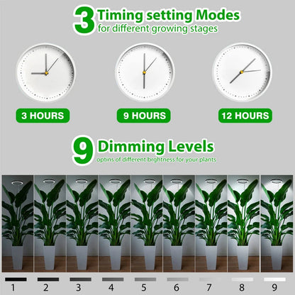Indoor Plants Full Spectrum, Height Adjustable LED Ring Grow Lights, Large Plant Light for Indoor Plants, Growing Lamp