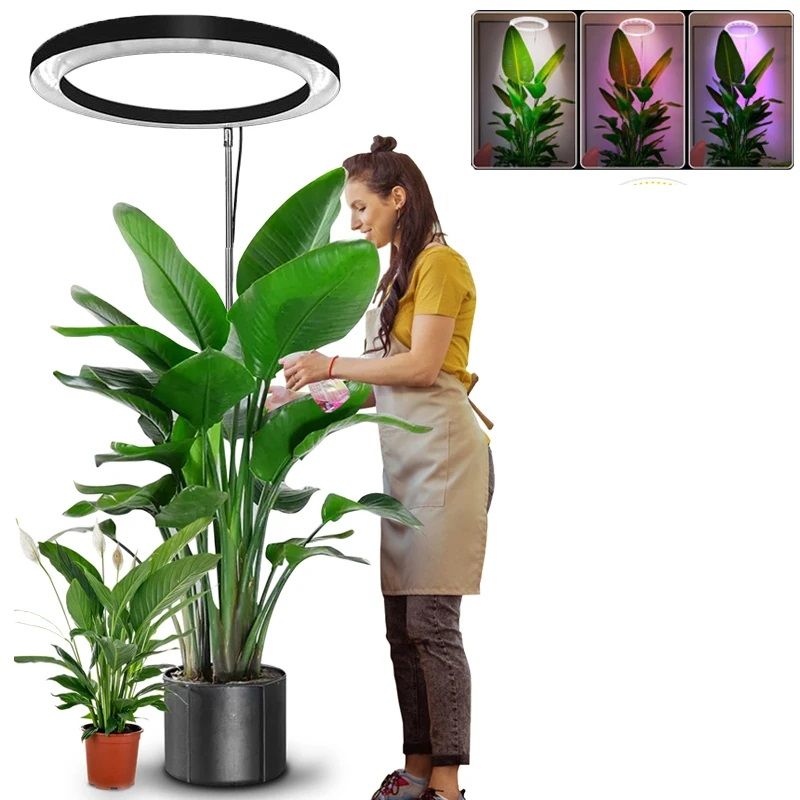 Indoor Plants Full Spectrum, Height Adjustable LED Ring Grow Lights, Large Plant Light for Indoor Plants, Growing Lamp