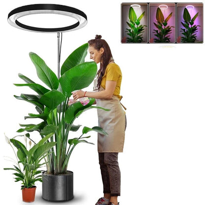 Indoor Plants Full Spectrum, Height Adjustable LED Ring Grow Lights, Large Plant Light for Indoor Plants, Growing Lamp
