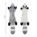 raccoon