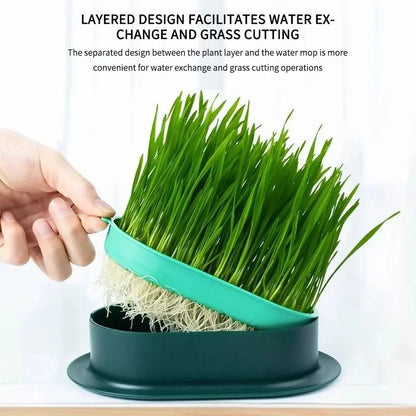 Pet Cat Sprout Dish Growing Pot, Hydroponic Cat Grass Germination Kit for Digestion, Greenhouse Grow Box Starter Set