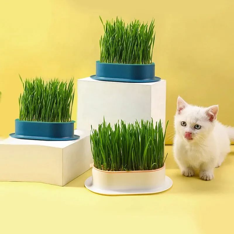 Pet Cat Sprout Dish Growing Pot, Hydroponic Cat Grass Germination Kit for Digestion, Greenhouse Grow Box Starter Set