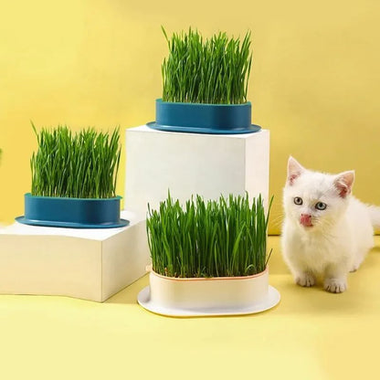 Pet Cat Sprout Dish Growing Pot, Hydroponic Cat Grass Germination Kit for Digestion, Greenhouse Grow Box Starter Set