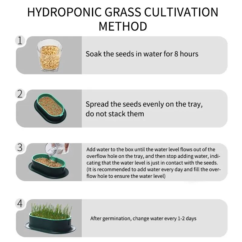 Pet Cat Sprout Dish Growing Pot, Hydroponic Cat Grass Germination Kit for Digestion, Greenhouse Grow Box Starter Set