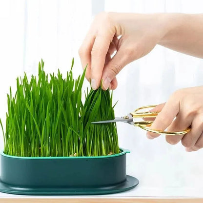 Pet Cat Sprout Dish Growing Pot, Hydroponic Cat Grass Germination Kit for Digestion, Greenhouse Grow Box Starter Set