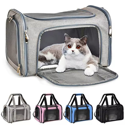 Airline Approved Pet Carrier Backpack for Small Dogs & Cats