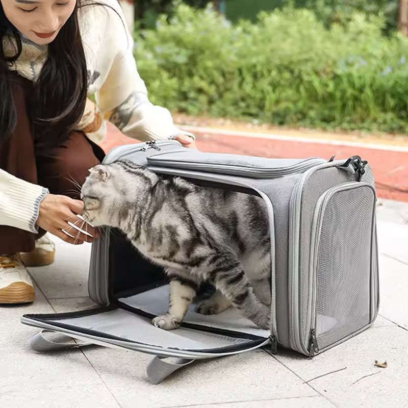 Airline Approved Pet Carrier Backpack for Small Dogs & Cats