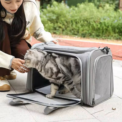 Airline Approved Pet Carrier Backpack for Small Dogs & Cats