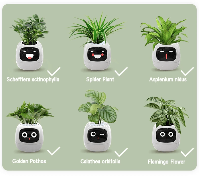 Ivy AI Smart Plant Pot with Sensors and Interactive Indoor Gardening Companion