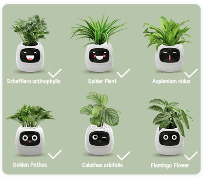 Ivy AI Smart Plant Pot with Sensors and Interactive Indoor Gardening Companion