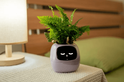 Ivy AI Smart Plant Pot with Sensors and Interactive Indoor Gardening Companion
