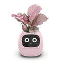 lightpink