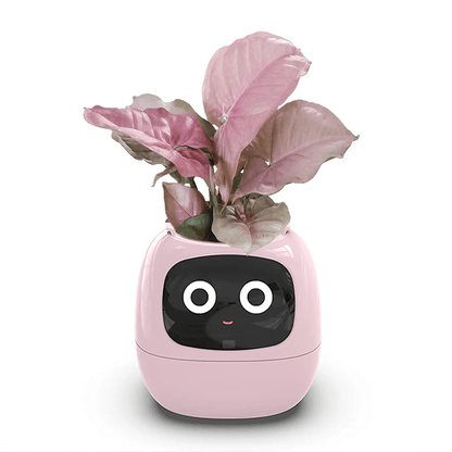 Ivy AI Smart Plant Pot with Sensors and Interactive Indoor Gardening Companion