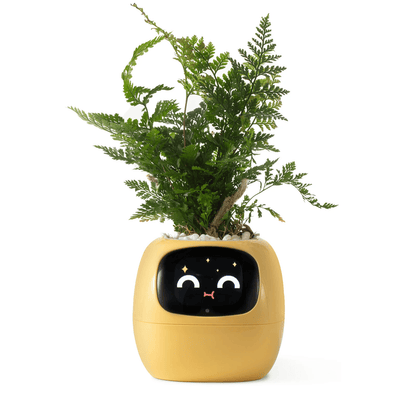 Ivy AI Smart Plant Pot with Sensors and Interactive Indoor Gardening Companion