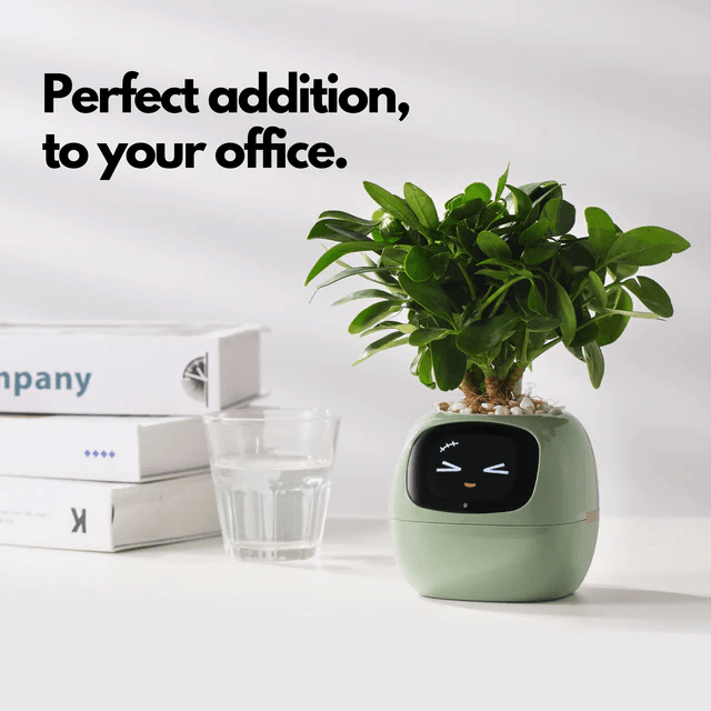 Ivy AI Smart Plant Pot with Sensors and Interactive Indoor Gardening Companion