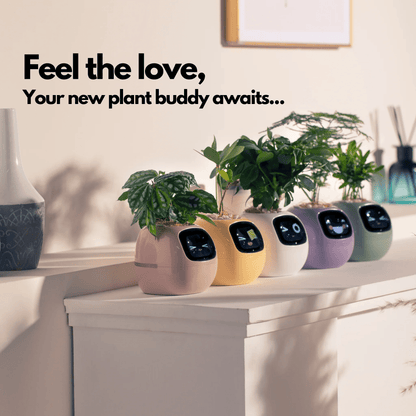 Ivy AI Smart Plant Pot with Sensors and Interactive Indoor Gardening Companion
