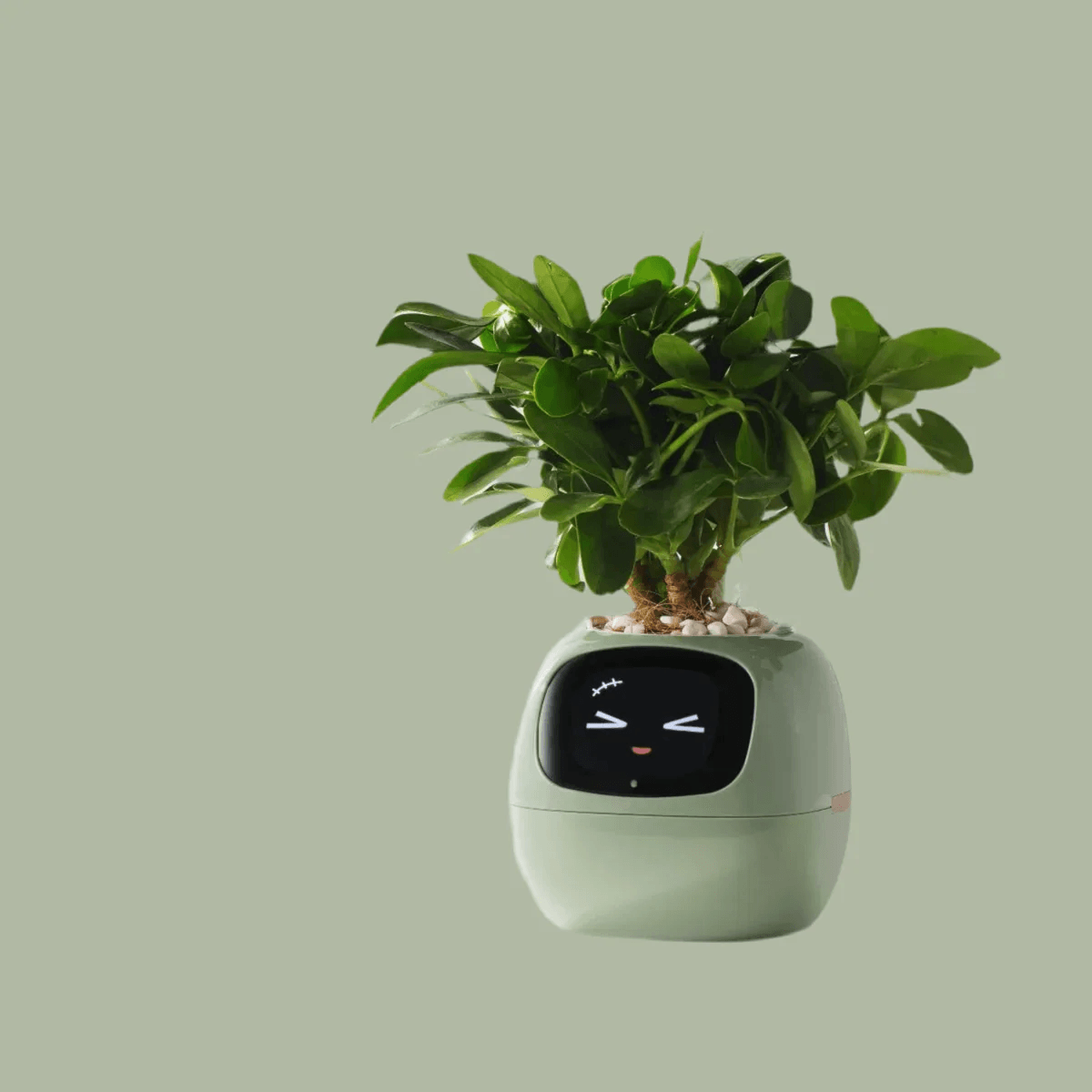Ivy AI Smart Plant Pot with Sensors and Interactive Indoor Gardening Companion