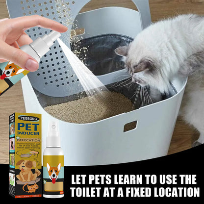 Dog Potty Training Spray, Toilet Defecation Inducer for Puppies & Cats Outdoor Urine & Stool Location Helper for Effect