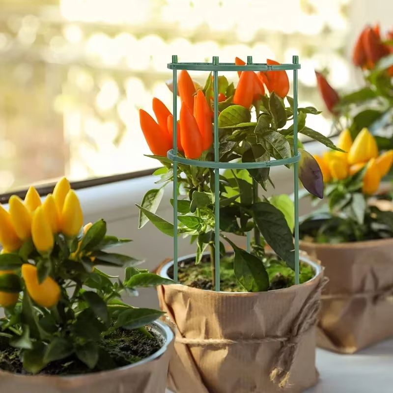 Plastic Garden Plant Support Stake for Flowers and Greenhouse Use