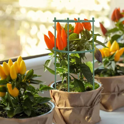 Plastic Garden Plant Support Stake for Flowers and Greenhouse Use