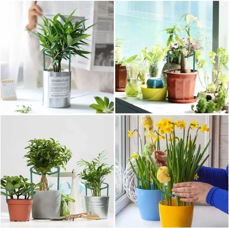 Plastic Garden Plant Support Stake for Flowers and Greenhouse Use