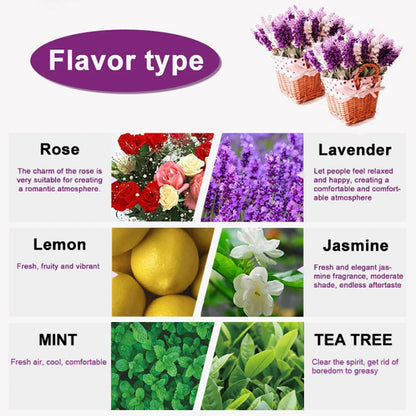 6 Essential Oils Set, Lavender, Rose, Frankincense, Sandalwood, Oud & Plant Extracts for Air Purification & Aromatherapy
