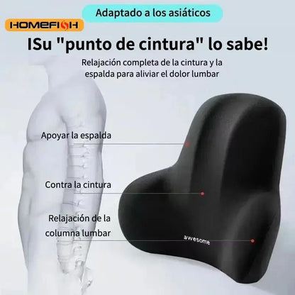 Memory Foam Lumbar Support Cushion for Car Office and Back Relief