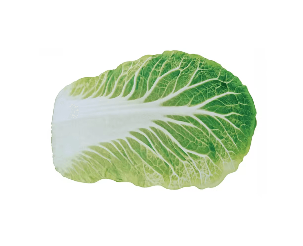Cozy Cabbage Flannel Throw Blanket Cute Sofa Blanket for Home