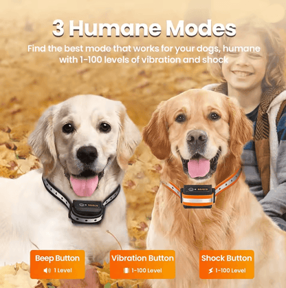 Rojeco Remote Rechargeable Dog Training Collar