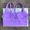 calamus purple
