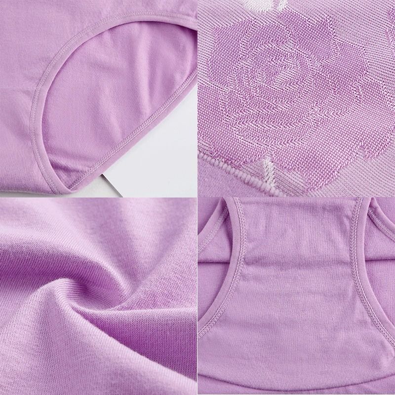 Womens Plus Size High Waist Cotton Panties 3 Pack M to 5XL