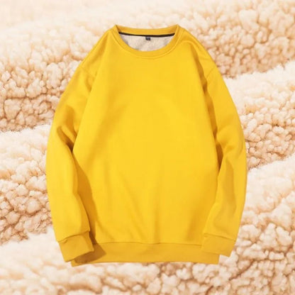 Winter Lamb Velvet Fleece Sweatshirt for Men Thickened Warm Casual Pullover
