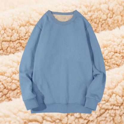 Winter Lamb Velvet Fleece Sweatshirt for Men Thickened Warm Casual Pullover